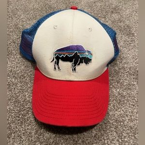 Patagonia buffalo hat